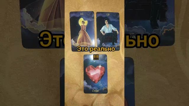 InShot_20250103_021352285.mp4