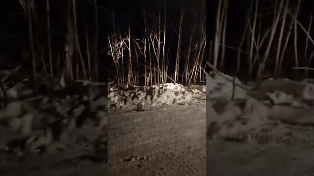 Жители Южно-Сахалинска своими силами расчистили снежный завал, часть 4