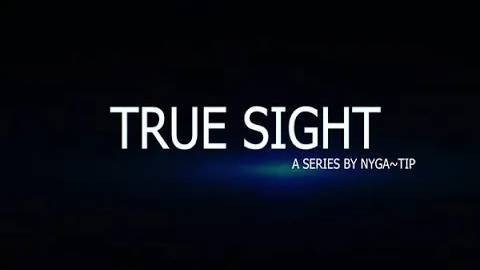 True Sight NyGa~TiP #1 (Teamfight Manager)
Киберспортивный менеджер!