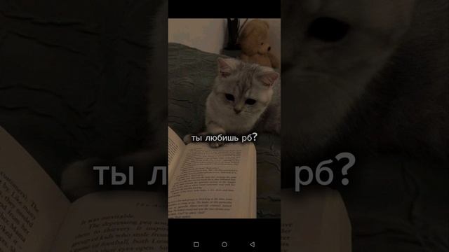 без видео не как:3