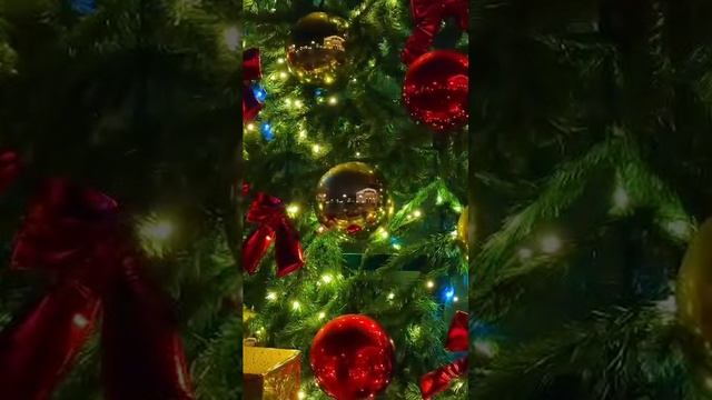 Севастополь, Новы Херсонес. С новым 2025 годом!