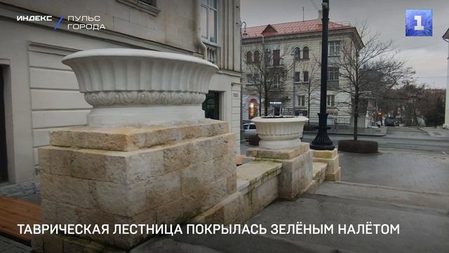 Таврическая лестница покрылась зелёным налётом