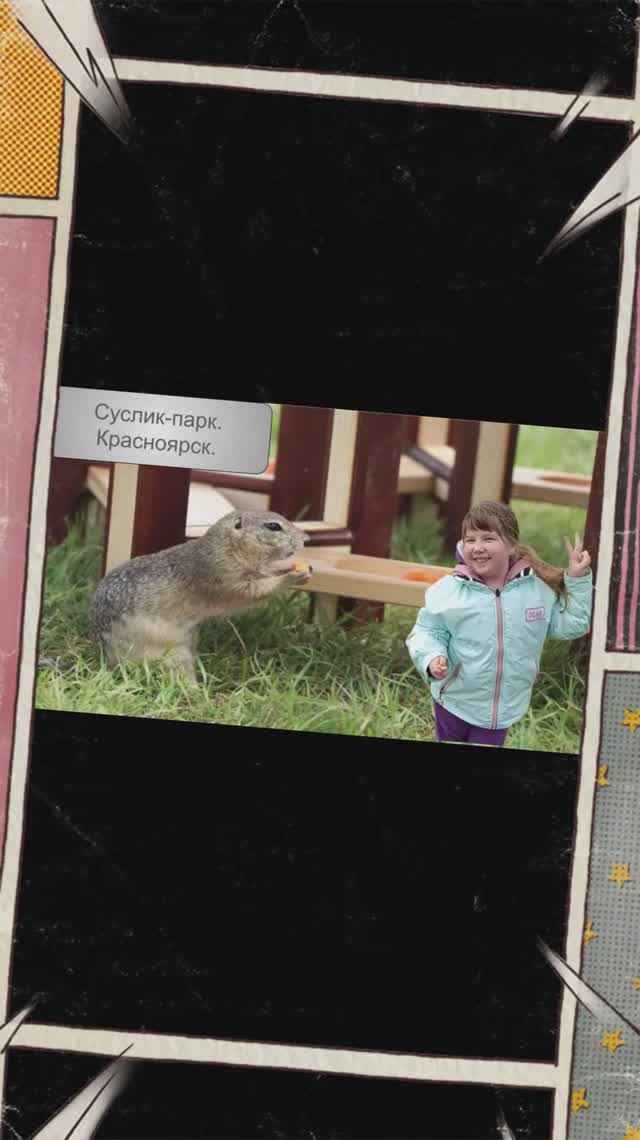 Суслик-парк Красноярск