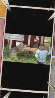 Суслик-парк Красноярск