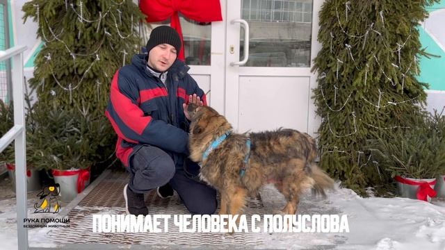 История нашей Ренфри! Поддержать⬇️
