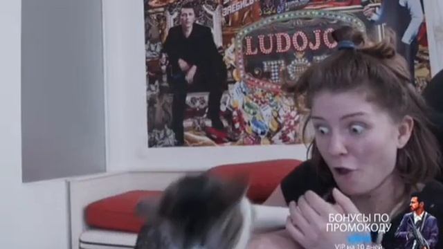 Атака Адольфа на Ксюшу vjlink