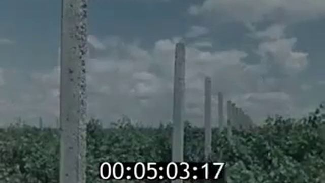 Киножурнал Хочу всё знать - Выпуск № 19 - 1961 год