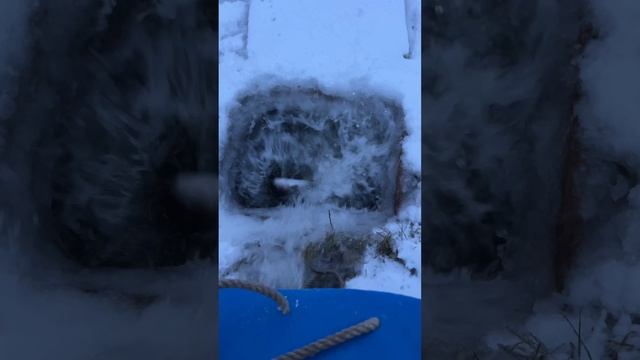 Запуск форели