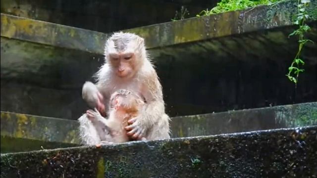 Если это - не матъ, то кто это для...