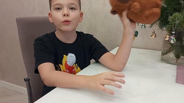 Новый член команды кабибара Валера