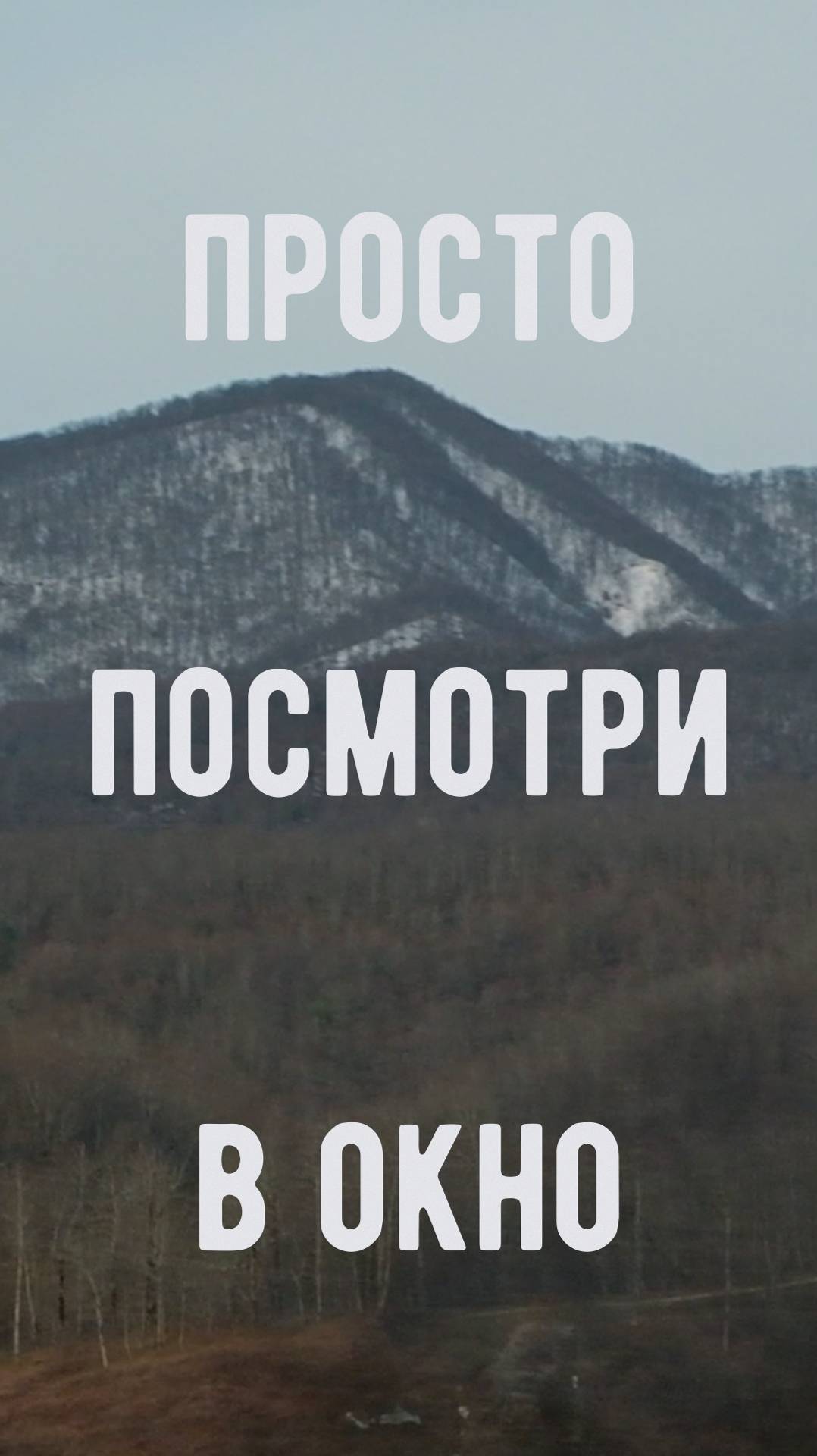 Пожалуйста посмотри в окно