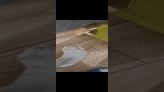 Продажа британских котят, 25 тысяч. тел.89771388325