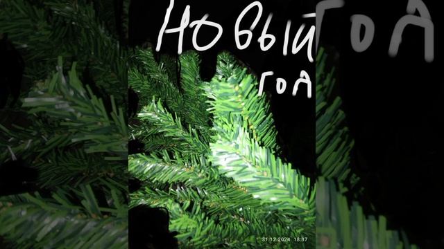 Новый год