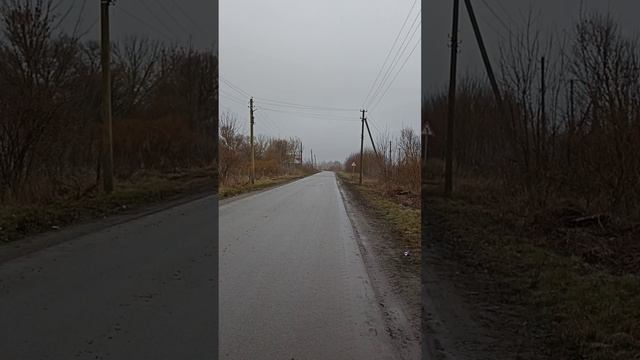 Новый Год в селе.
