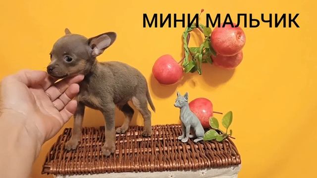 1000005456.mp4