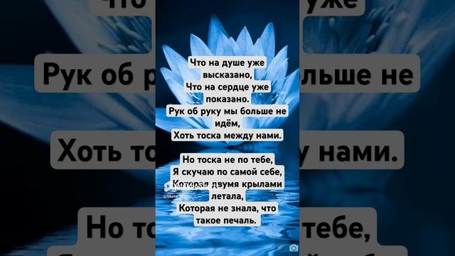 1000013951.mp4