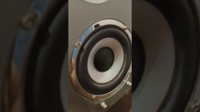 1000022401.mp4