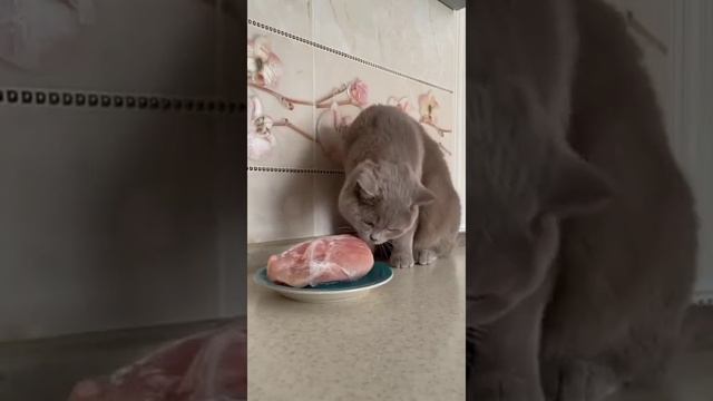 Порежьте, кожаные!