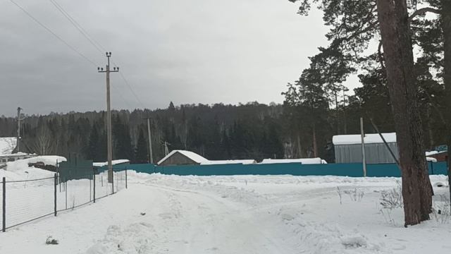 Прогулка через лес