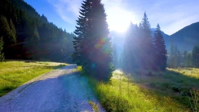 Gentle Music, Calms The Nervous System And Pleases The Soul 🌿 Healing Music For The Heart And Blood