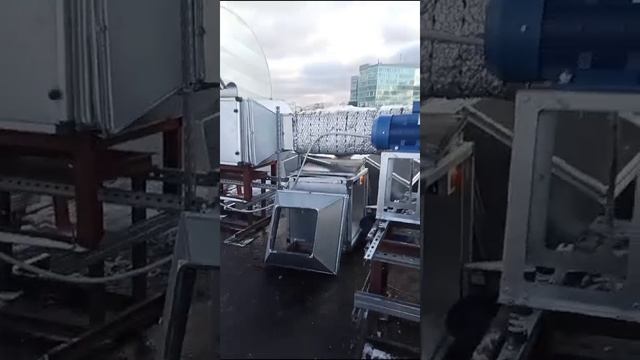 1000048862.mp4