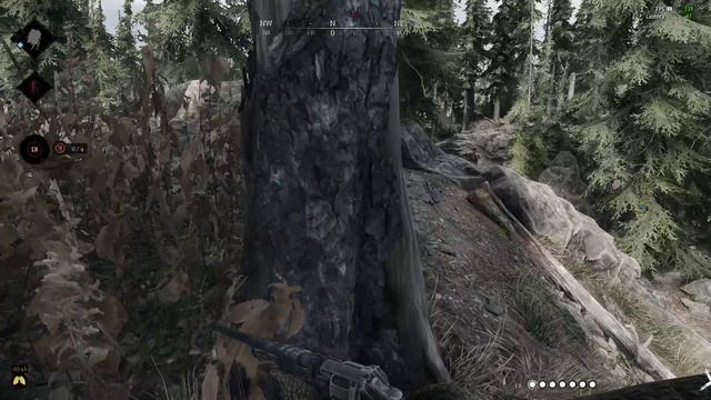 Hunt Showdown 1896