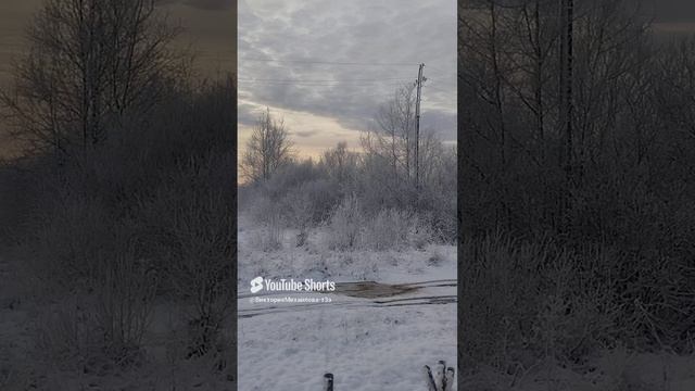 1000131105.mp4
