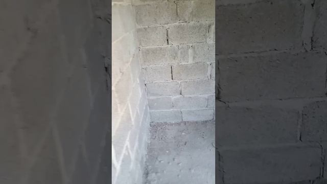VID_20240719_105517(0)