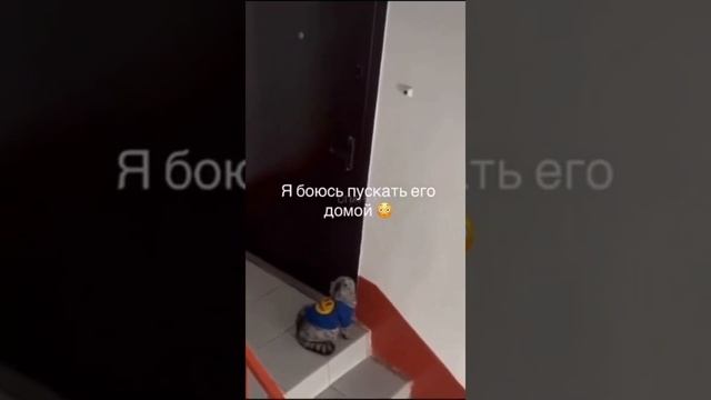 Открой дверь!