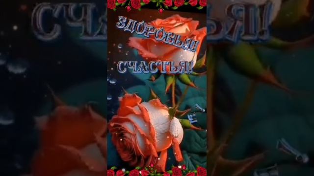 Video.Guru_20250103_130450617.mp4