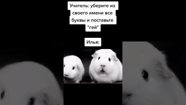 Хахахахахаха вобще смешно 🤣🤣