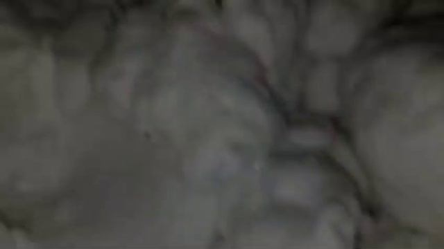 Жители Южно-Сахалинска своими силами расчистили снежный завал, часть 3