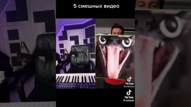 5 смешных видео.mp4