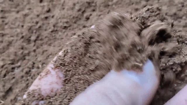 Вибросито ВС 8рн для червя