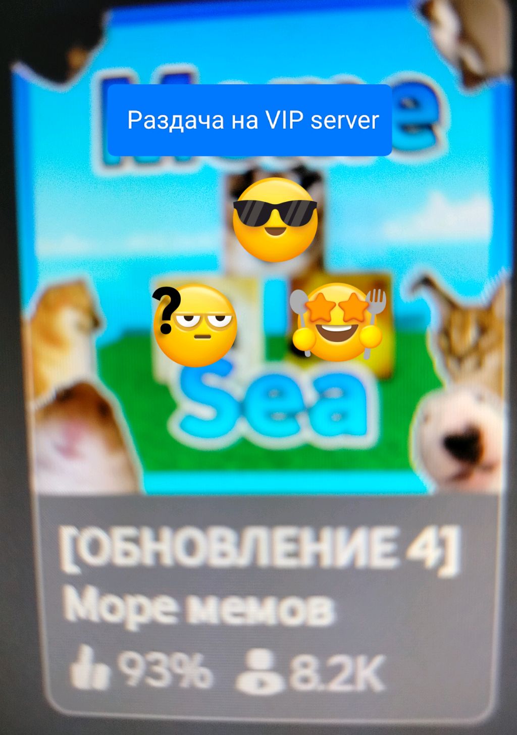 раздача фруктов