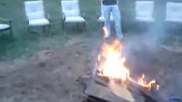 Собака и костер