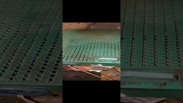 1000049229.mp4