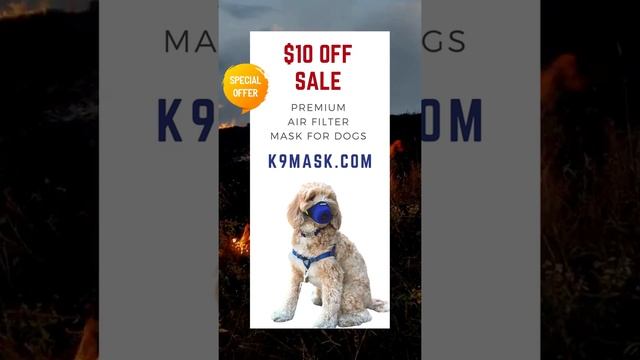 K9 Mask® Smoke Air Filter For Dogs in Wildfire Season 2021