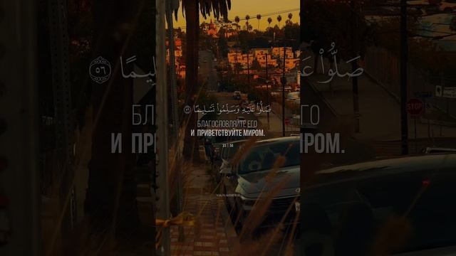 Сура Аль-Ахзаб аят 56 | Мухаммад аль-Люхайдан
