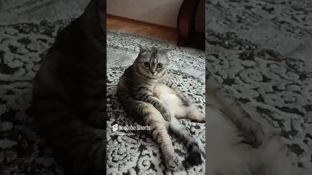 1000046451.mp4