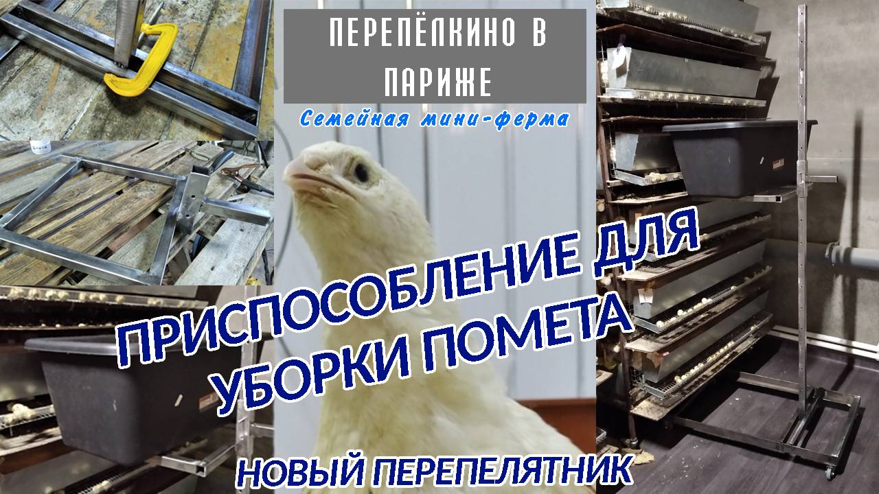 ПРИСПОСОБЛЕНИЕ ДЛЯ УБОРКИ ПОМЕТА СВОИМИ РУКАМИ