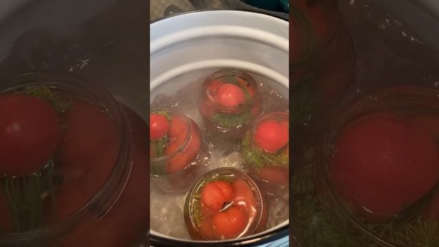 ПОМИДОРКИ В ДЖАКУЗИ | ЗАГОТОВКИ НА ЗИМУ