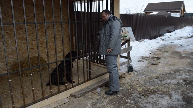 Выход щенка 4 мес. из вольера 
+79296105898 Коррекция поведения собак