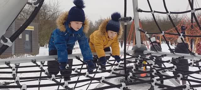 Зимняя прогулка