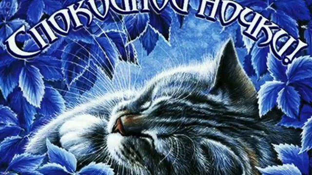 Спокойной ночи💜🌠💙