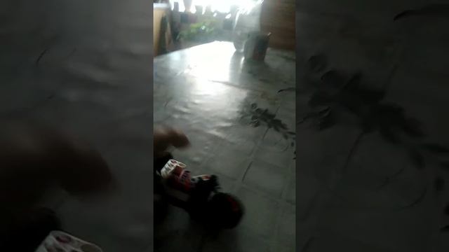 чопер