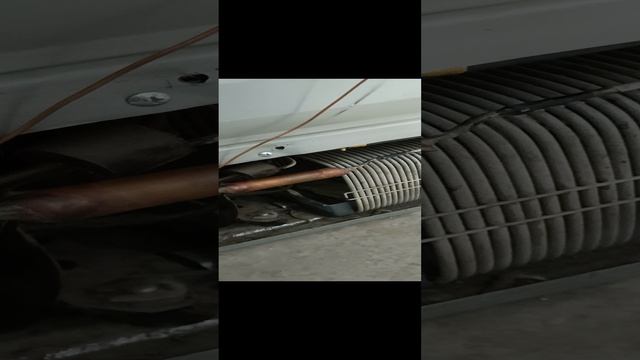 1000000046.mp4