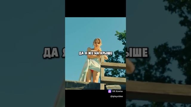 Жуки