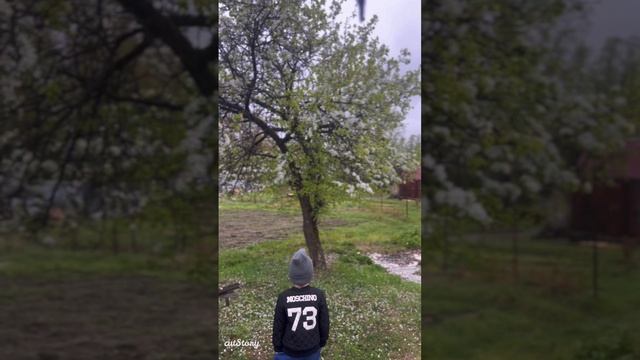 Захарик , 💪🏼в поисках кота за 2 дня до дня рождения, грустный , но не сдается