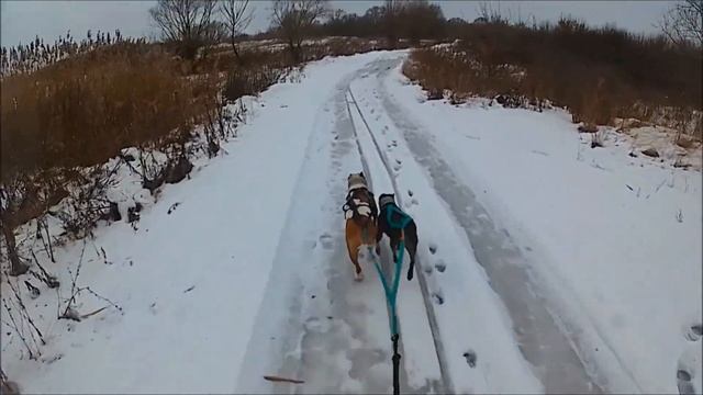 Байкджоринг на льду